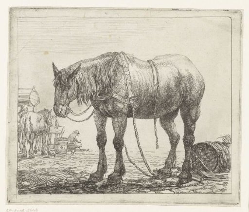 Resting Workhorse