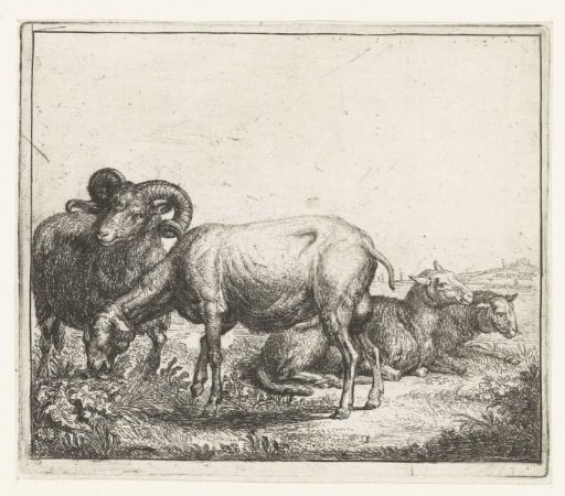 Ram and Ewes