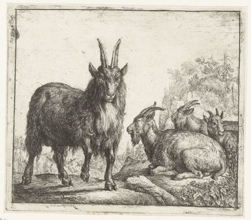 Four Goats