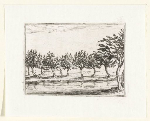 Willows Along a Bank