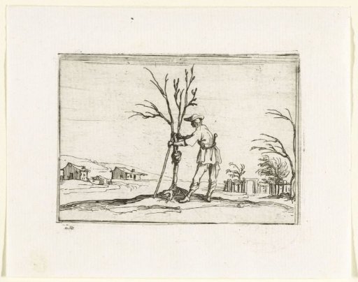 A Gardener Tending a Young Tree