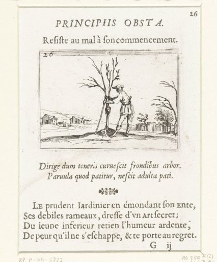 A gardener tending a young tree