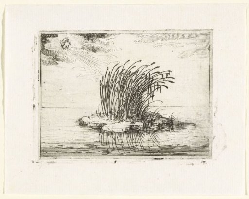Reeds in the Wind