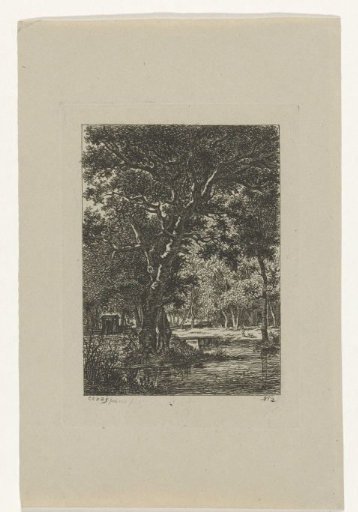 Wooded landscape