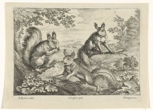 Three squirrels