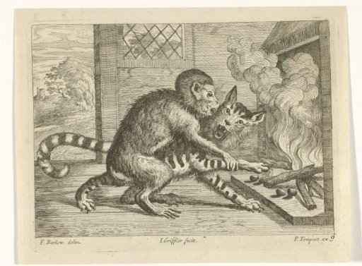 Monkey and cat by a fireplace