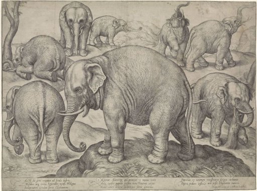 Eight Elephants