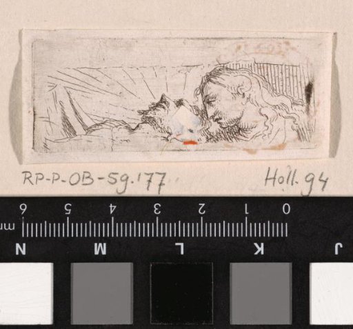 The head of Mary with the dead Christ