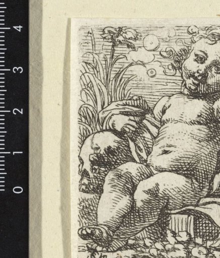 Allegory of Vanity