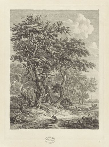 Landscape near Zuidlaren
