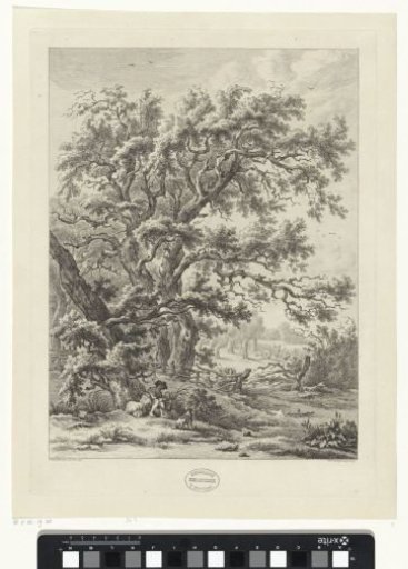 Landscape near Midlaren