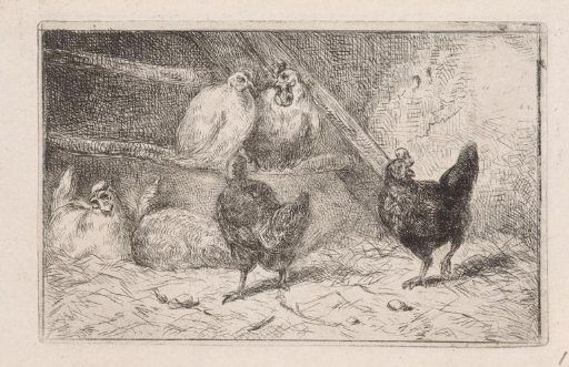 Rooster and five hens in a coop