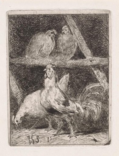 Three Hens and a Rooster