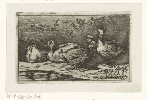 Four Ducks at the Water's Edge