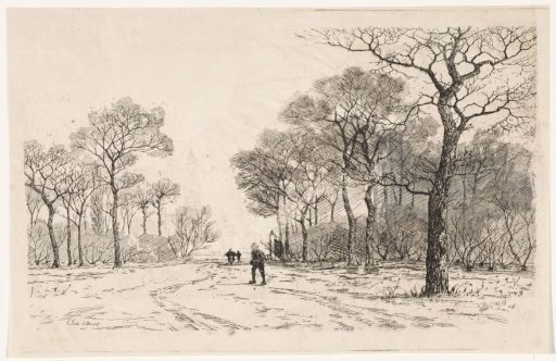 Three People on a Road with Trees on Both Sides