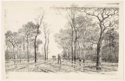Three People on a Road with Trees on Both Sides