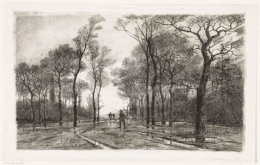 Three People on a Road with Trees on Both Sides