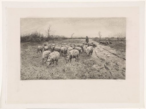 Shepherd with a Flock of Sheep