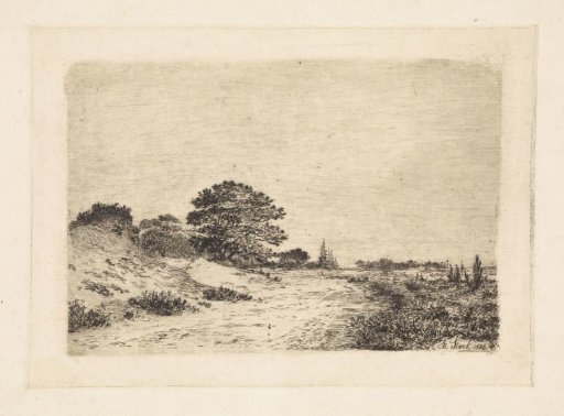 Dune landscape