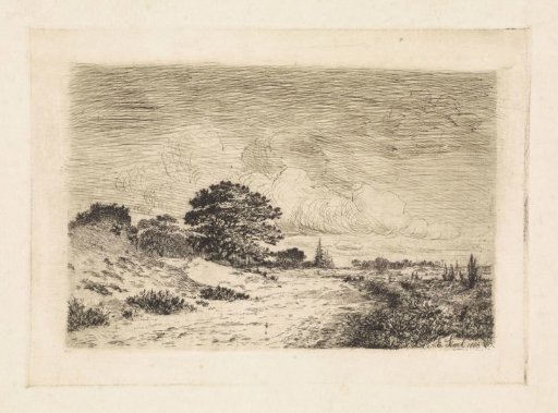 Dune landscape