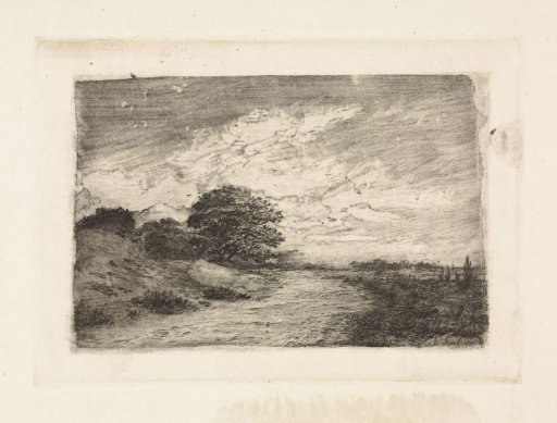Dune landscape