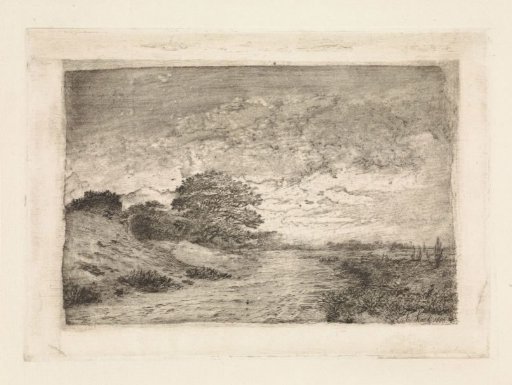 Dune landscape