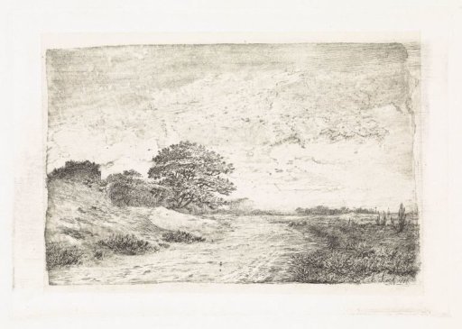 Dune landscape
