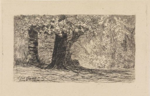 Forest at Bentheim
