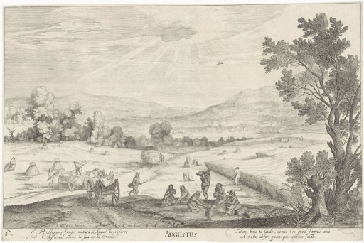August, landscape with the grain harvest