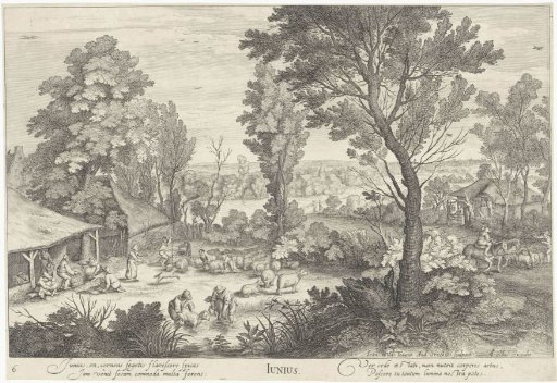June, landscape with farmers shearing sheep
