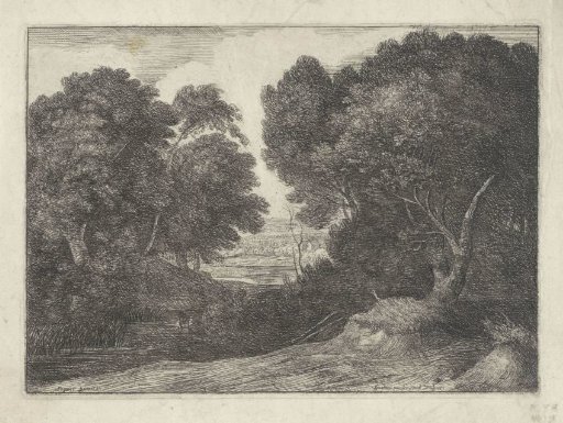 Woodland