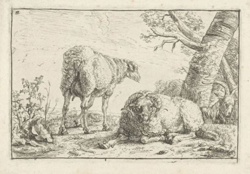 Two sheep and a goat