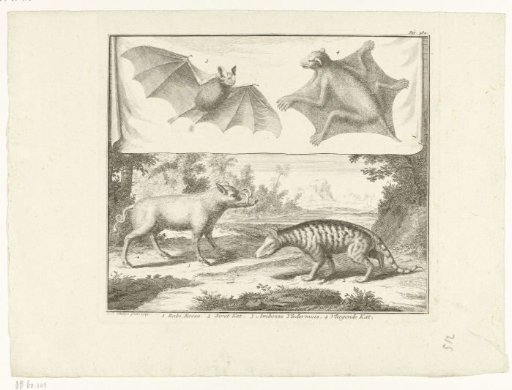 Sheet with different animal species