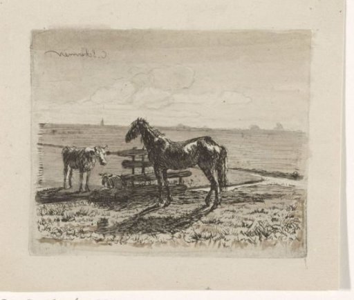 Meadow with a horse and two cows