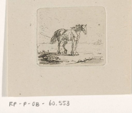 Standing horse in a landscape