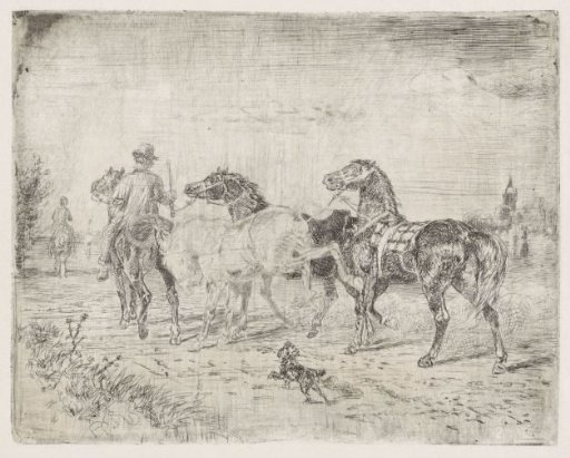 Riders with horses
