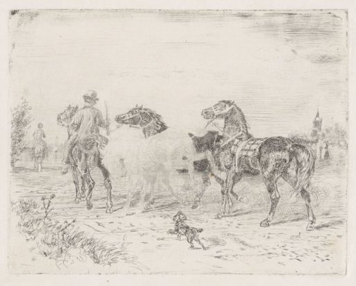 Riders with horses