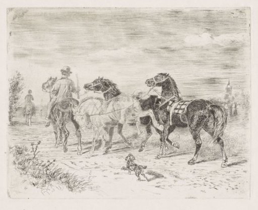 Riders with horses