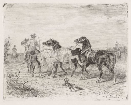 Riders with horses
