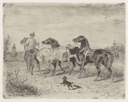 Riders with horses