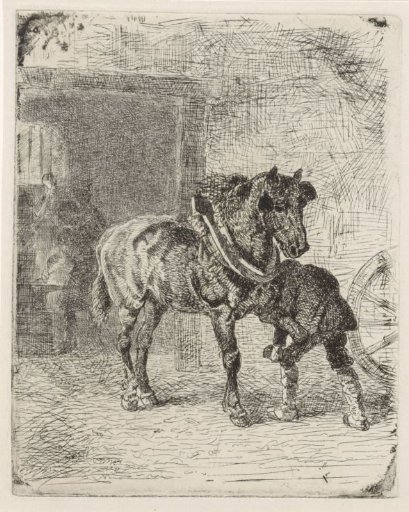 Horse being shod in a smithy
