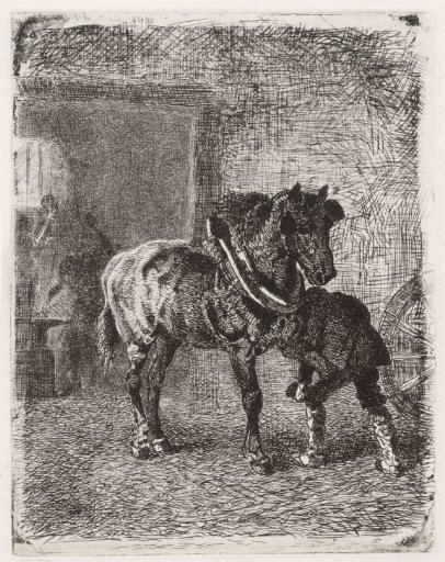 Horse being shod in a smithy