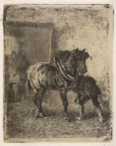 Horse being shod in a smithy