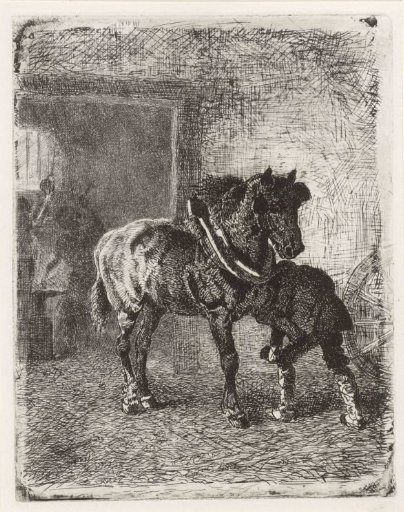 Horse being shod in a smithy