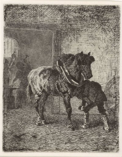 Horse being shod in a smithy