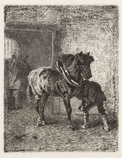 Horse being shod in a smithy