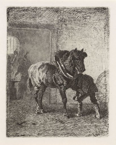 Horse Getting Horseshoes in a Forge