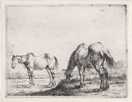 Grazing horse