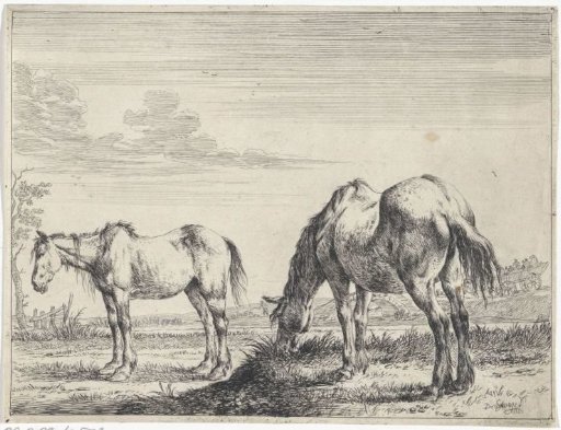 Grazing horse