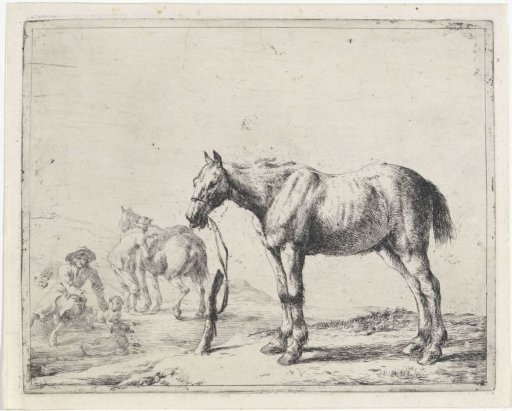 Horse tied to a post facing left